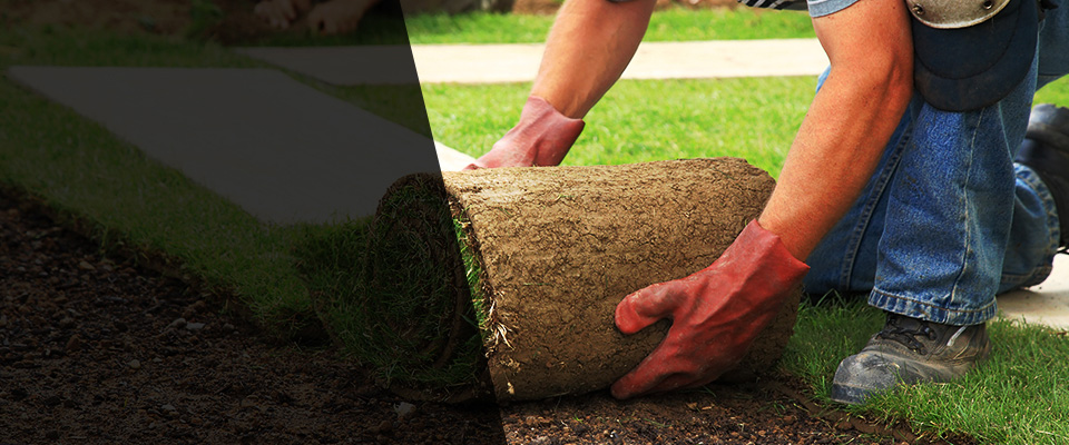 Houston Landscapers